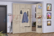 Прихожая Карина-3