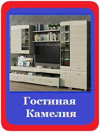 Камелия гостиная